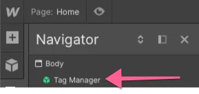 Tag Manager Webflow Component